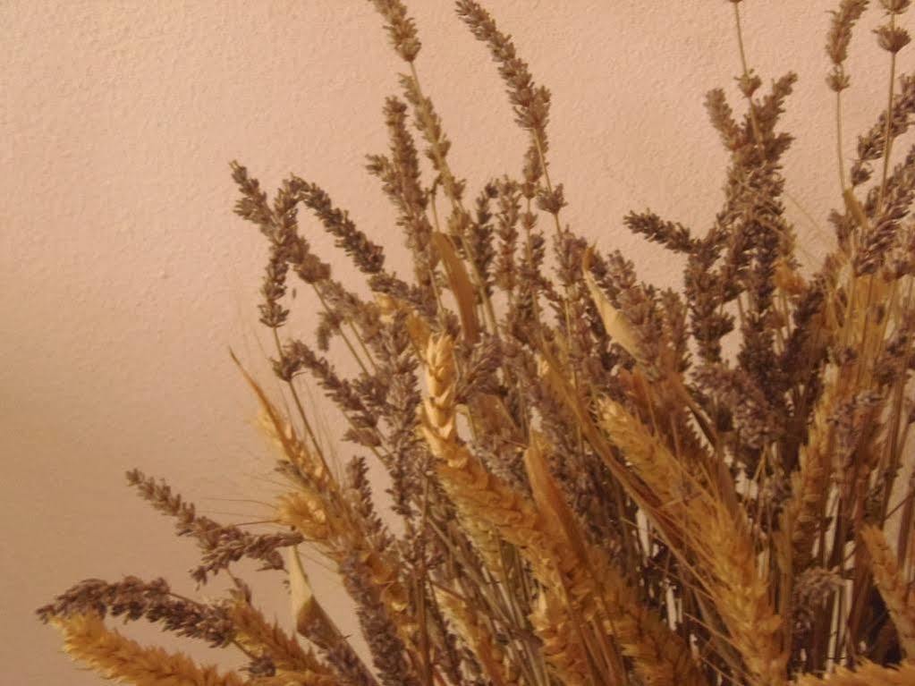 Camo Agriturismo Ca Trinche מראה חיצוני תמונה